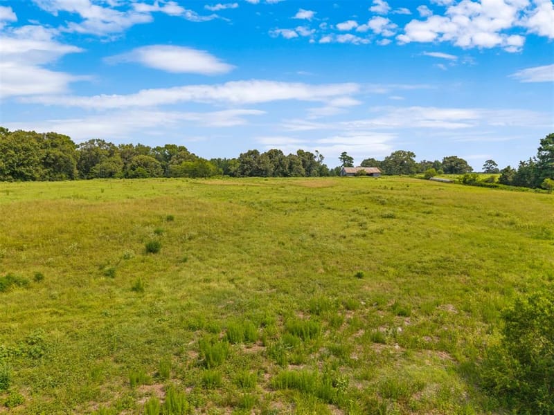 3349 E State Highway 154, Quitman TX 75783 - Photo 38