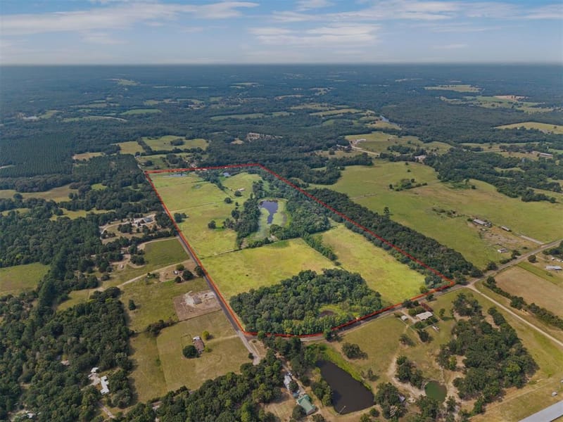 3349 E State Highway 154, Quitman TX 75783 - Photo 33