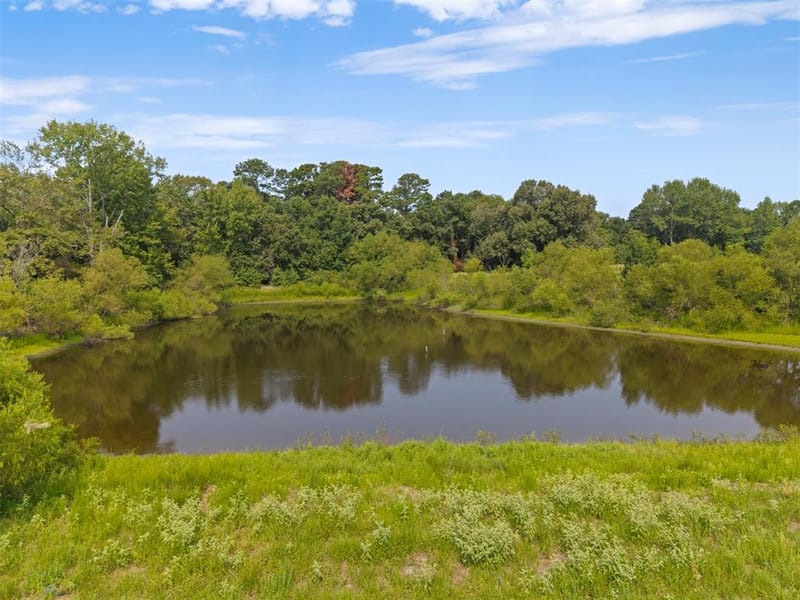 3349 E State Highway 154, Quitman TX 75783 - Photo 37