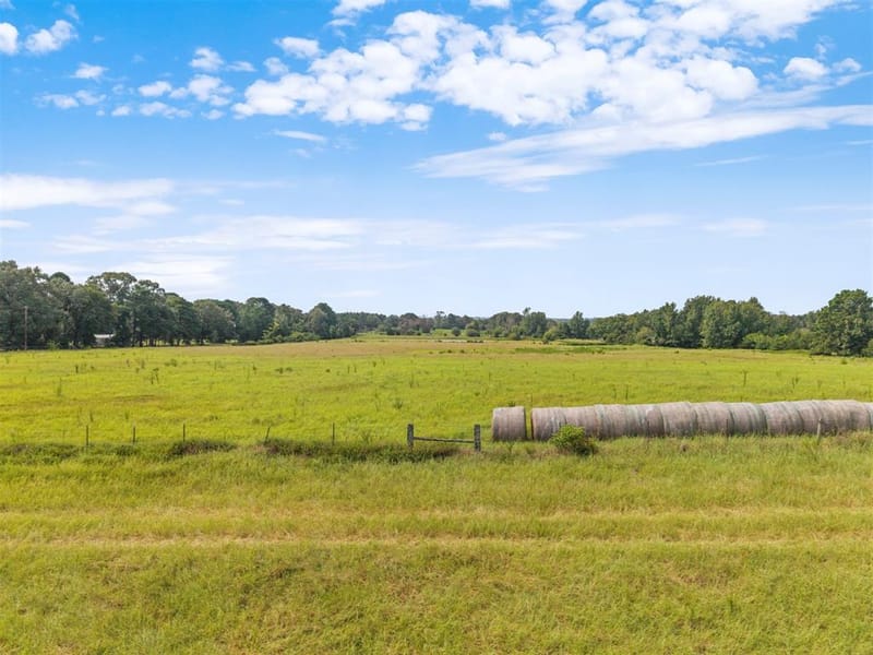 3349 E State Highway 154, Quitman TX 75783 - Photo 40