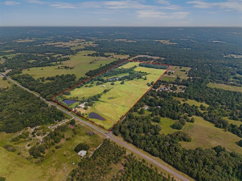 3349 E State Highway 154, Quitman TX 75783 - Photo 31