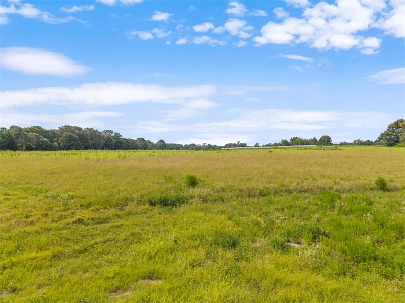 3349 E State Highway 154, Quitman TX 75783 - Photo 39