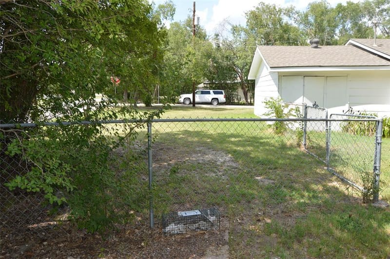 3321 Eastland Avenue, Greenville TX 75402 - Photo 31