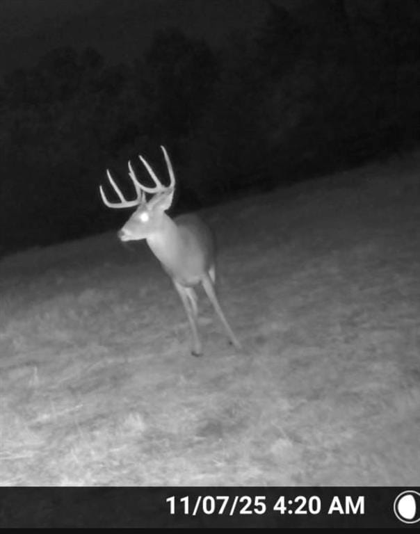 2375 County Road 3080, Ben Franklin TX 75415 - Photo 39