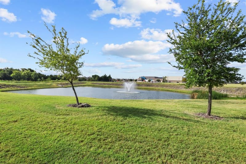 2994 Cedeno Drive, Forney TX 75126 - Photo 40