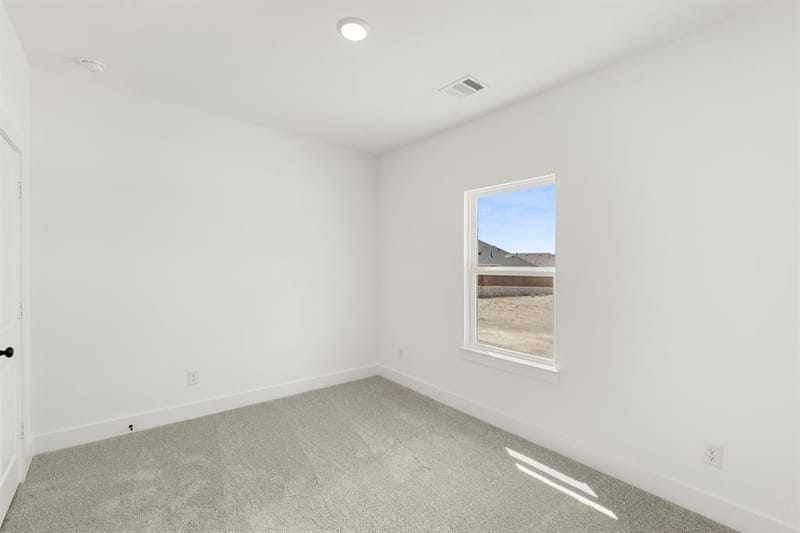 3413 Running Springs Drive, Anna TX 75409 - Photo 6