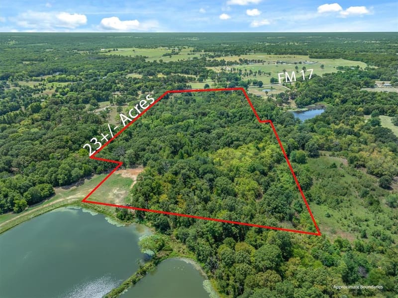 8086 FM 17, Grand Saline TX 75140 - Photo 7