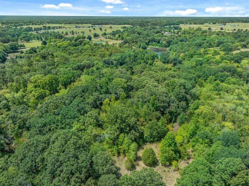 8086 FM 17, Grand Saline TX 75140 - Photo 9