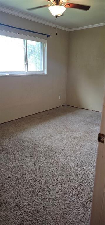 3007 Oliver Street, Bossier City LA 71112 - Photo 9