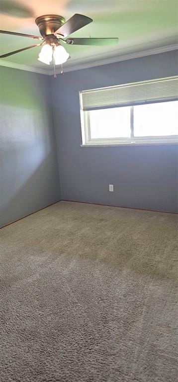 3007 Oliver Street, Bossier City LA 71112 - Photo 14