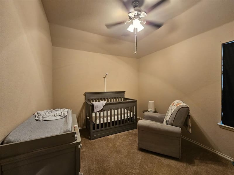 1017 Meadow Green Court, Princeton TX 75407 - Photo 33