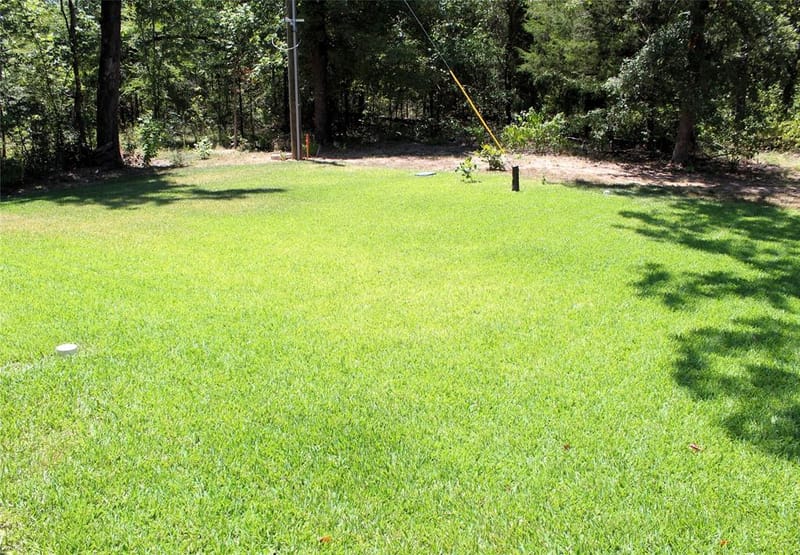 207 Driftwood Drive, Trinidad TX 75163 - Photo 21