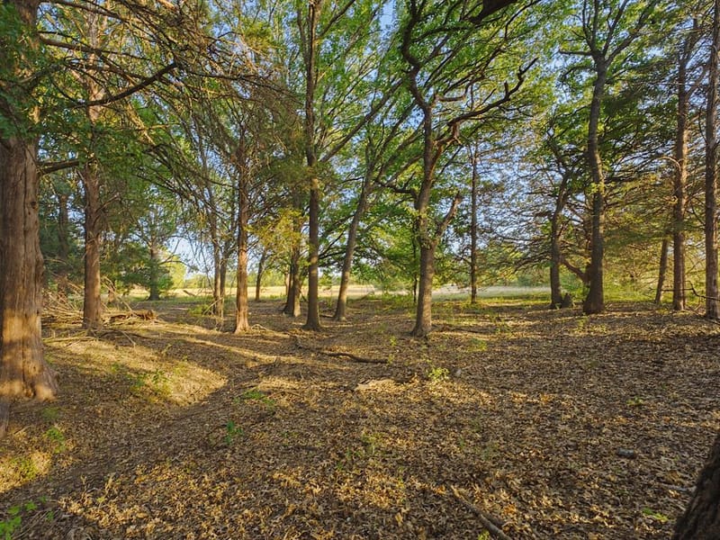 2403 County Road 2224, Decatur TX 76234 - Photo 36
