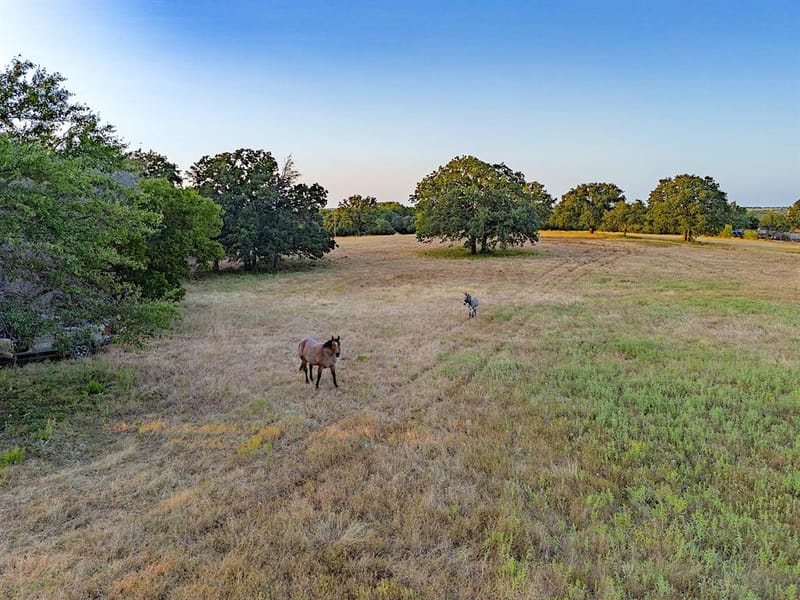 2403 County Road 2224, Decatur TX 76234
