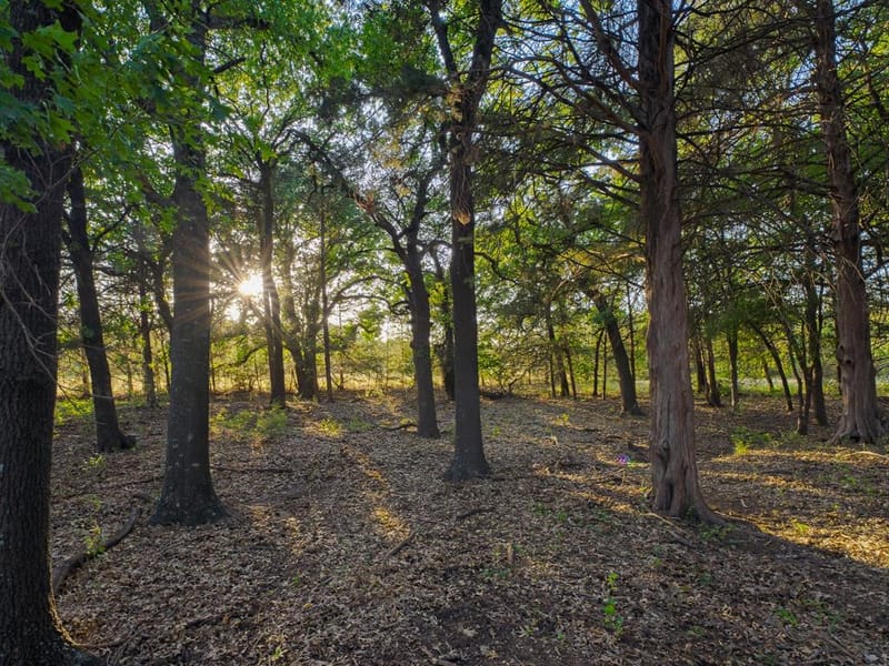 2403 County Road 2224, Decatur TX 76234 - Photo 38