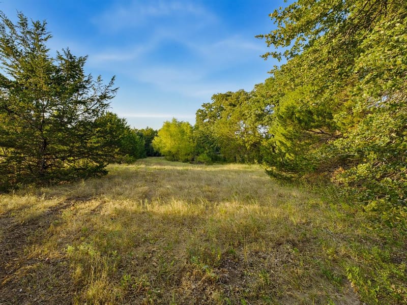 2403 County Road 2224, Decatur TX 76234 - Photo 40