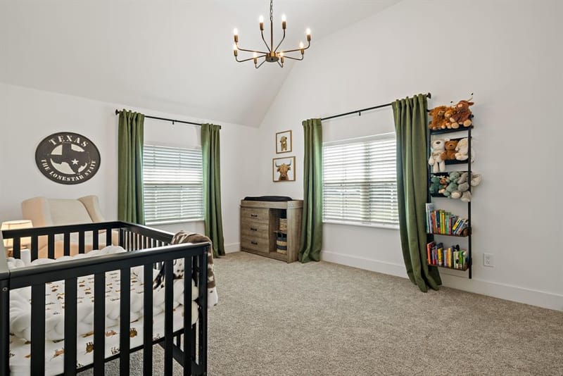 209 Mary Fitch Road, Sherman TX 75090 - Photo 25
