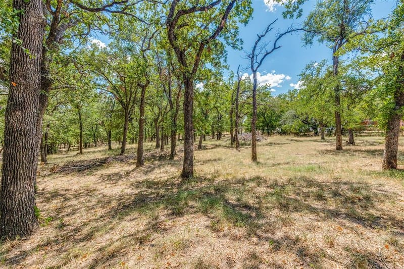 2865 J E Woody Road, Springtown TX 76082 - Photo 25