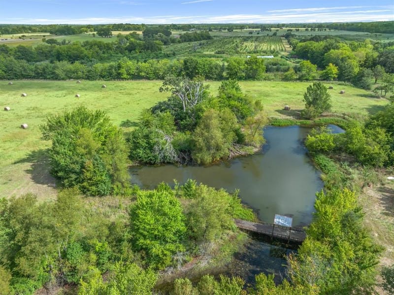 600 VZ County Road 4930, Van TX 75790 - Photo 12