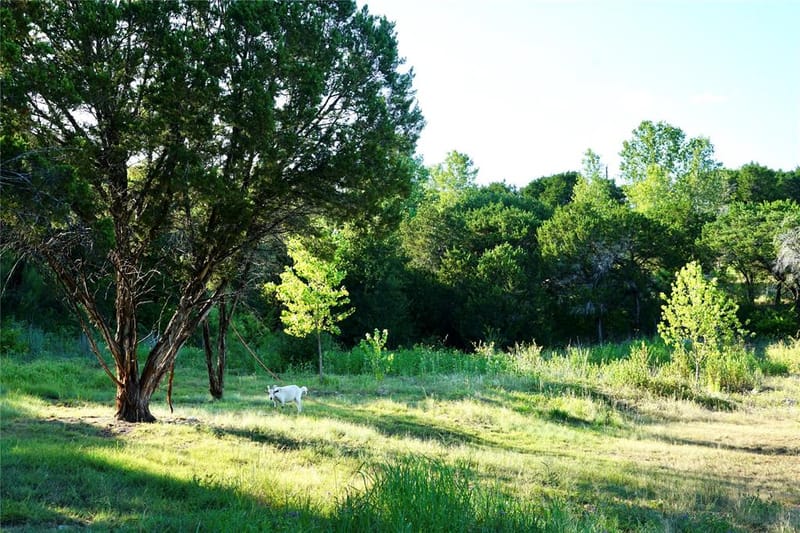 1394 County Road 313 Spur, Glen Rose TX 76043 - Photo 19