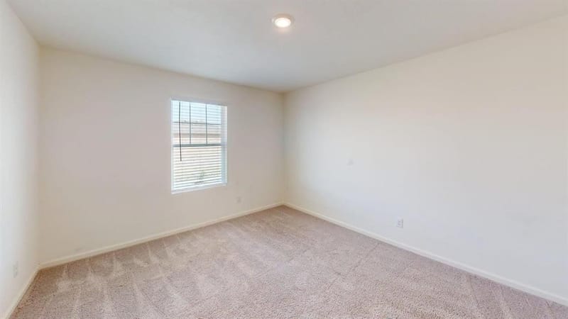 311 Pennsylvania Avenue, Princeton TX 75407 - Photo 18