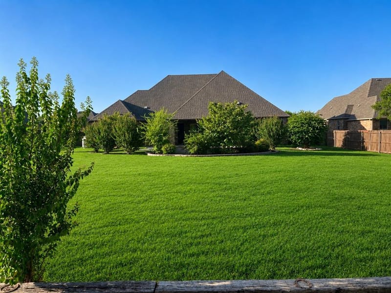 1317 Bluff Springs Drive, Fort Worth TX 76052 - Photo 31