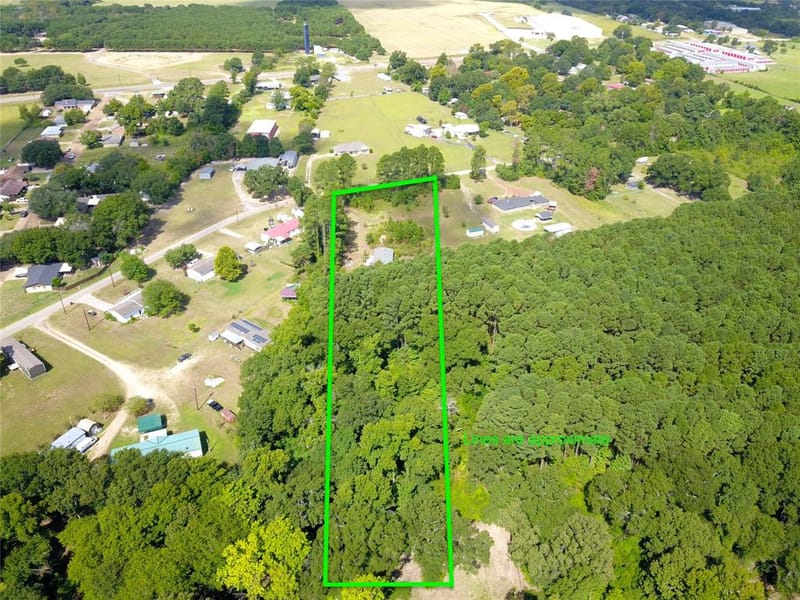 7401 County Road 4613, Athens TX 75752 - Photo 3