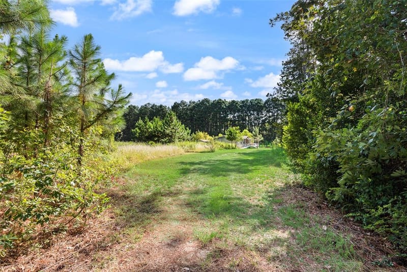 7401 County Road 4613, Athens TX 75752 - Photo 21