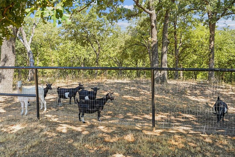 2380 W Sherman Drive, Aubrey TX 76227 - Photo 34