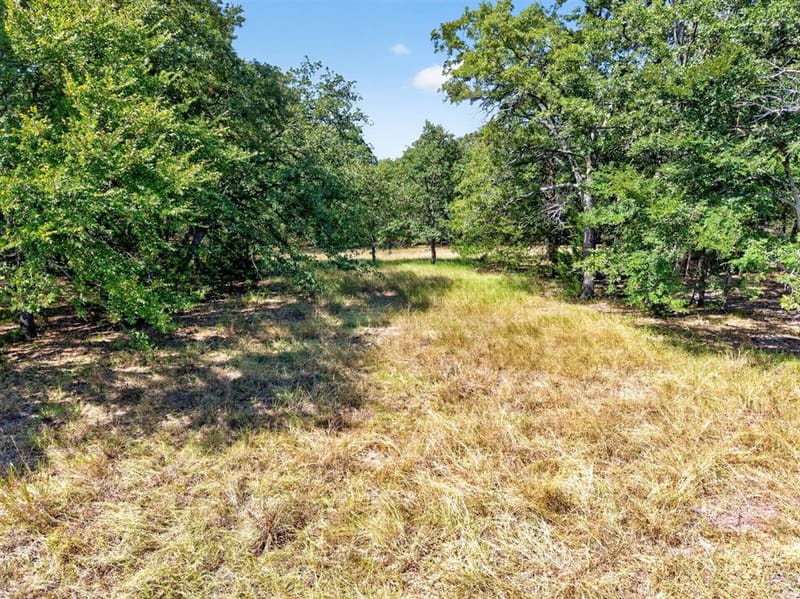 10148 Bluebonnet Drive, Scurry TX 75158 - Photo 31