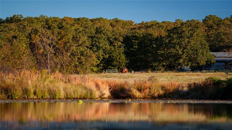 1210A County Road 232, Collinsville TX 76233 - Photo 6