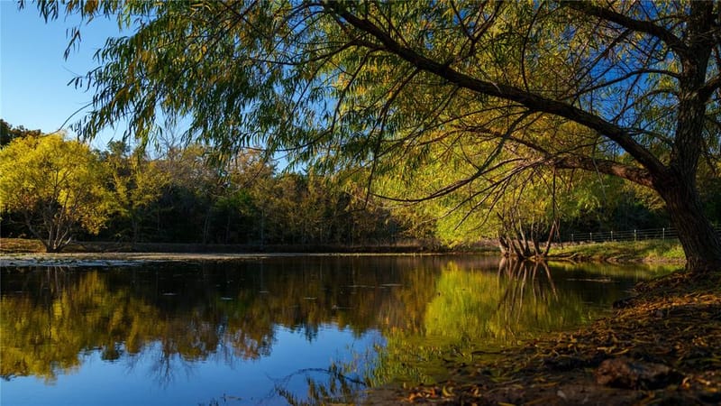 1210A County Road 232, Collinsville TX 76233 - Photo 28