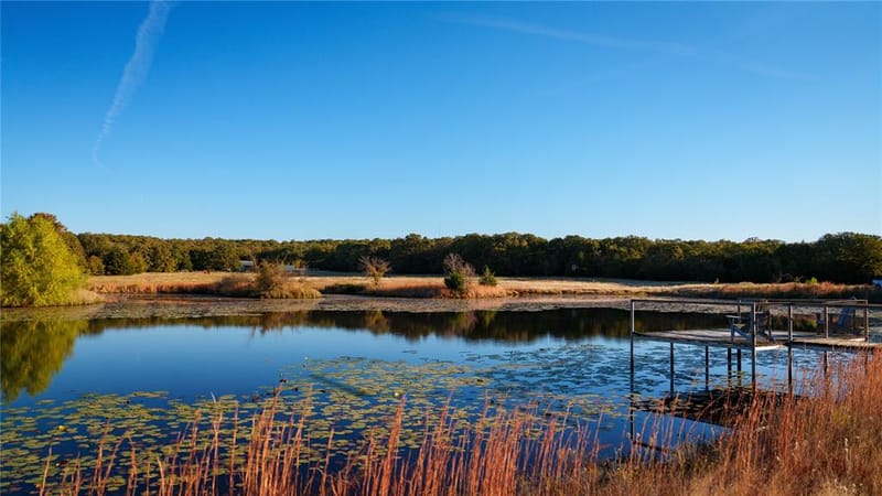 1210A County Road 232, Collinsville TX 76233 - Photo 10
