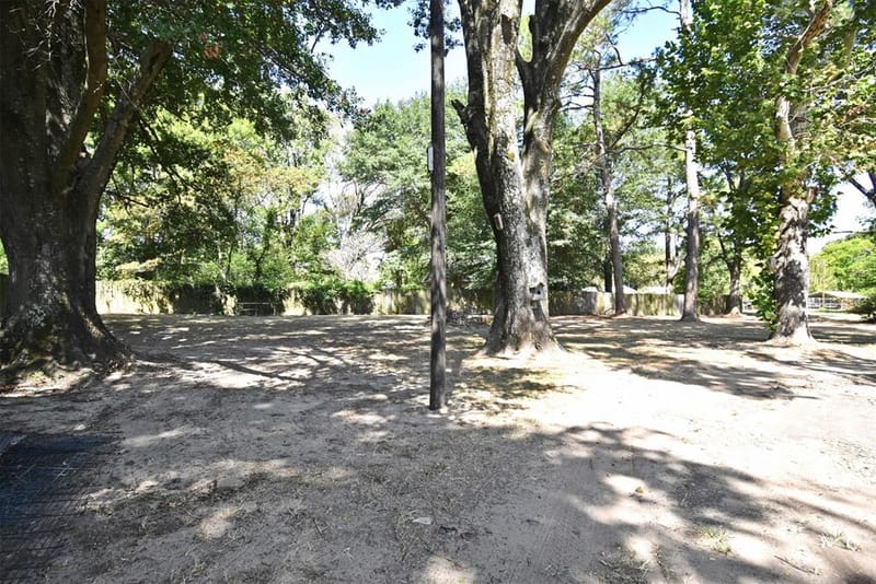 111 E Oak Street, Yantis TX 75497 - Photo 27