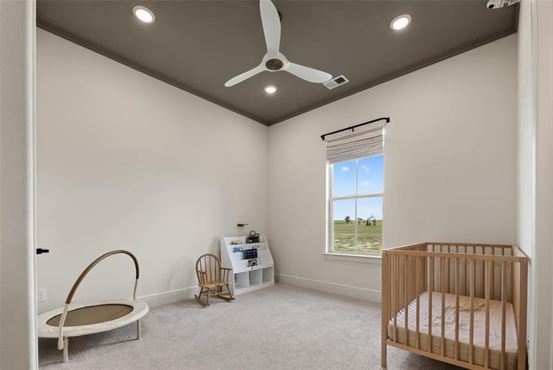11032 Gregory Road, Sanger TX 76266 - Photo 30