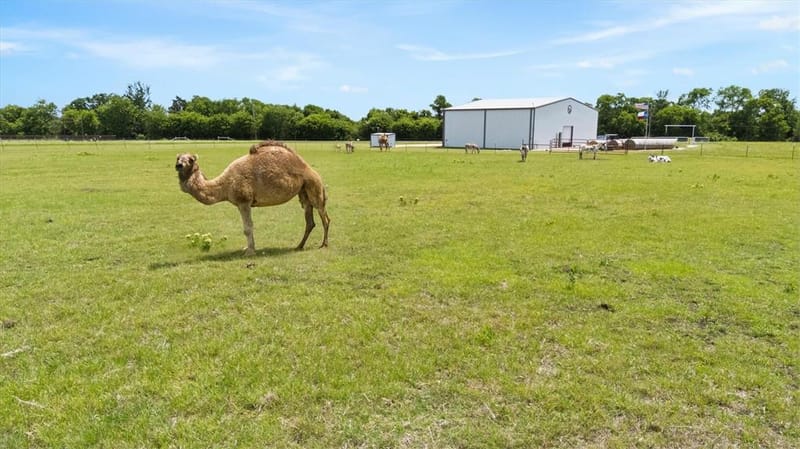 14705 County Road 545, Nevada TX 75173 - Photo 32