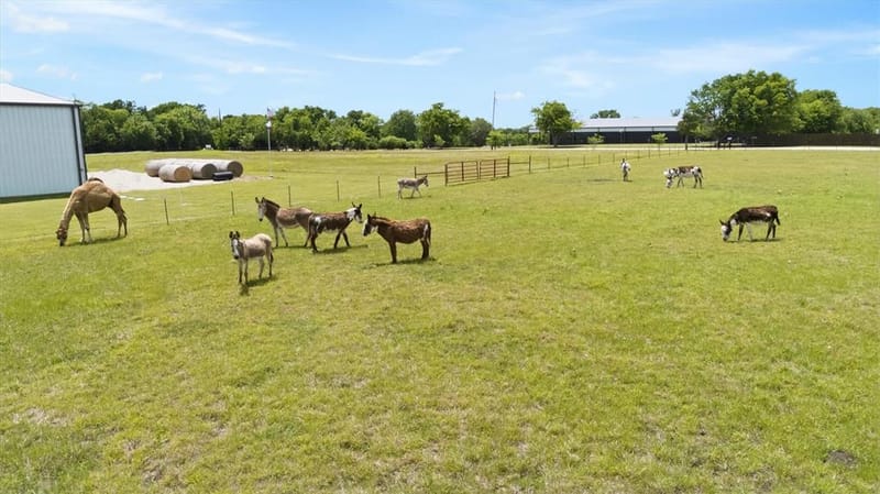 14705 County Road 545, Nevada TX 75173 - Photo 24