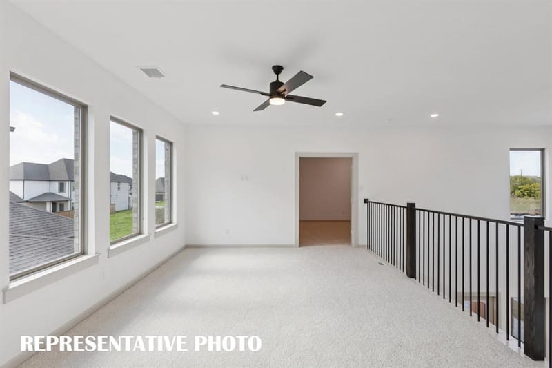 1125 Beebalm Mews, Celina TX 75009 - Photo 10