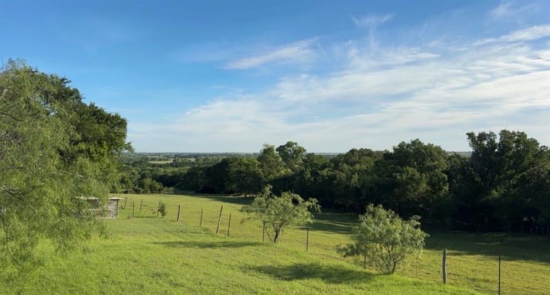 163 Hcr 3255, Mount Calm TX 76673 - Photo 3