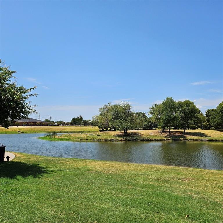 2436 Chestnut Drive, Little Elm TX 75068 - Photo 20