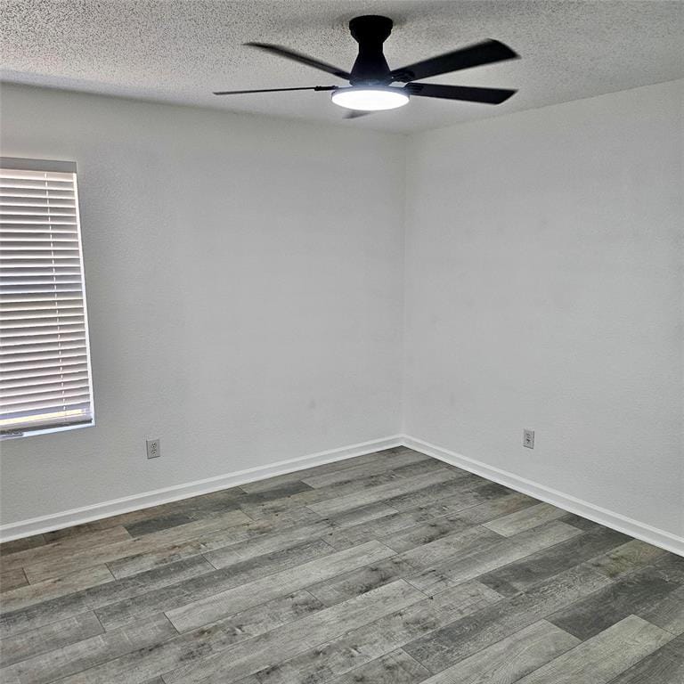 2436 Chestnut Drive, Little Elm TX 75068 - Photo 8