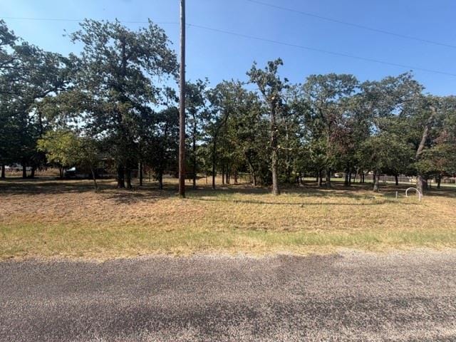 124 Brady Coleman Lane, Springtown TX 76082 - Photo 34