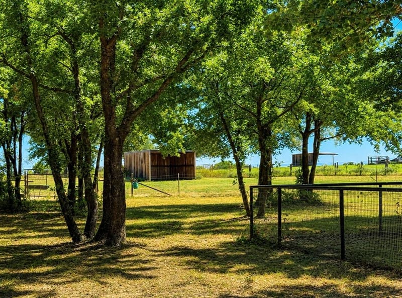 655 Hobson Bend Road, Weatherford TX 76088 - Photo 3