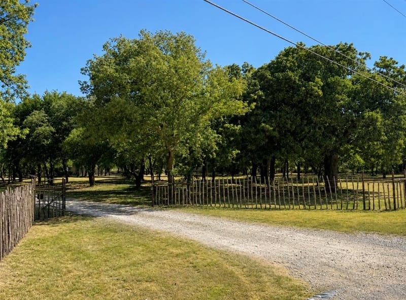 655 Hobson Bend Road, Weatherford TX 76088 - Photo 25