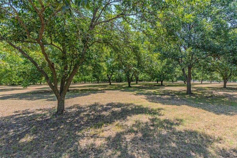 4886 White Rock, Lone Oak TX 75453 - Photo 10