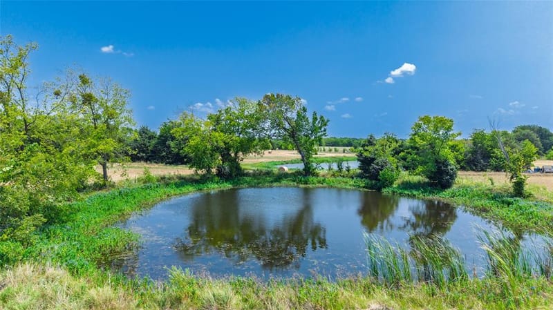 4886 White Rock, Lone Oak TX 75453 - Photo 14