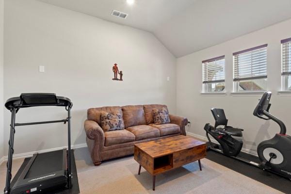 2316 Willow Garden Drive, Little Elm TX 75068 - Photo 31