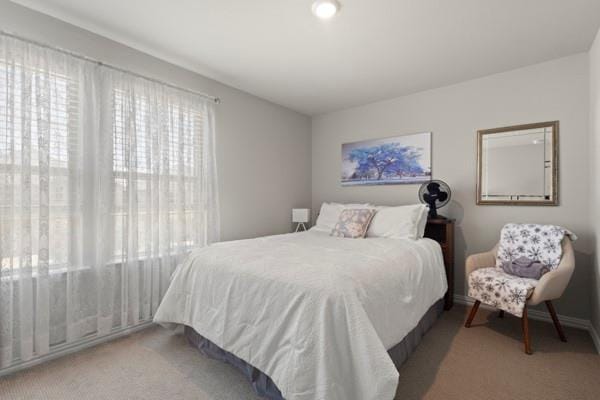 2316 Willow Garden Drive, Little Elm TX 75068 - Photo 29