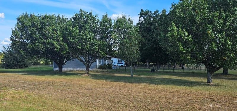 4593 State Highway 110, Grand Saline TX 75140 - Photo 18