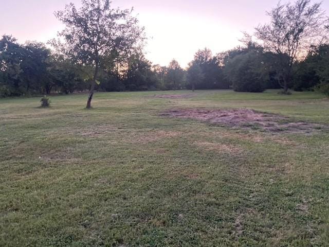 53 Reality Road, Denison TX 75021 - Photo 33